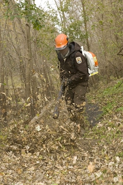person clearing path with leaf blower
