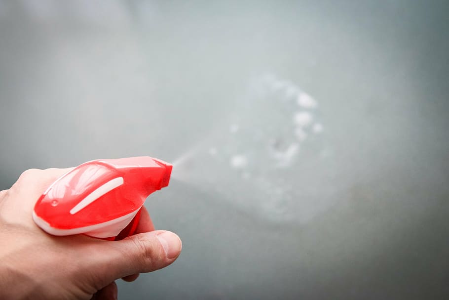 person holding hand sprayer
