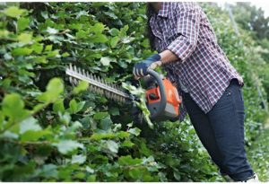 person using Husqvarna 9665324-02 Dual Action hedge Trimmer