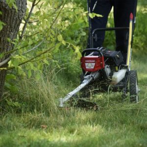 person using Southland SWSTM4317 Southland Wheeled String Trimmer