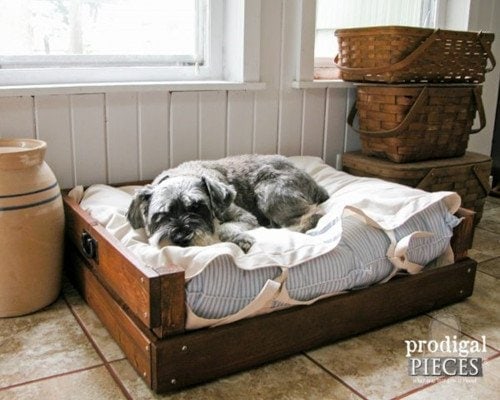 pet bed