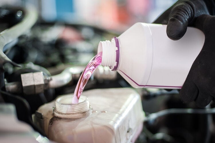 pink antifreeze