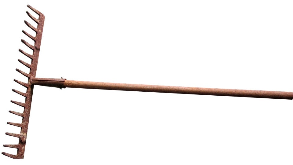 rake