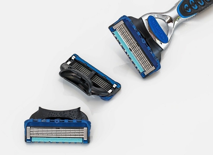 razor-pixabay