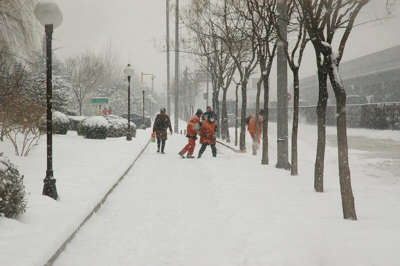 group of workers shoveling