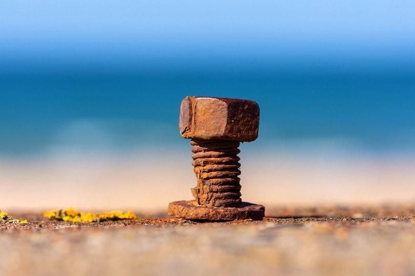 screw-pixabay