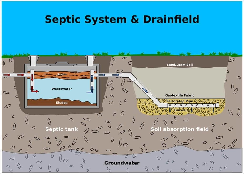 Septic System & Drainfield illustration