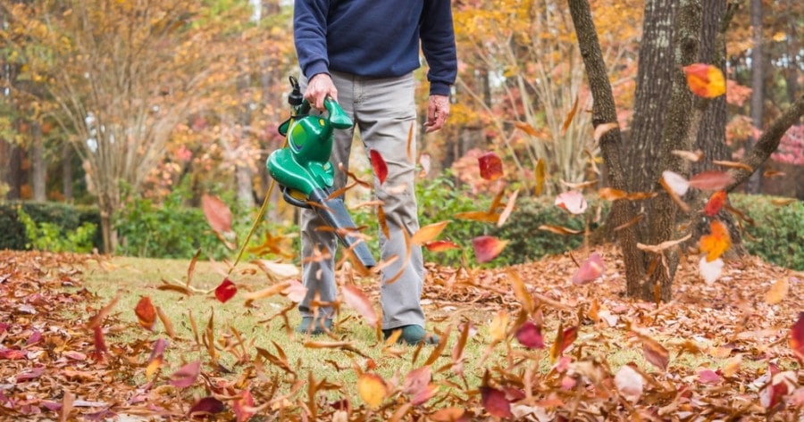 leaf blower
