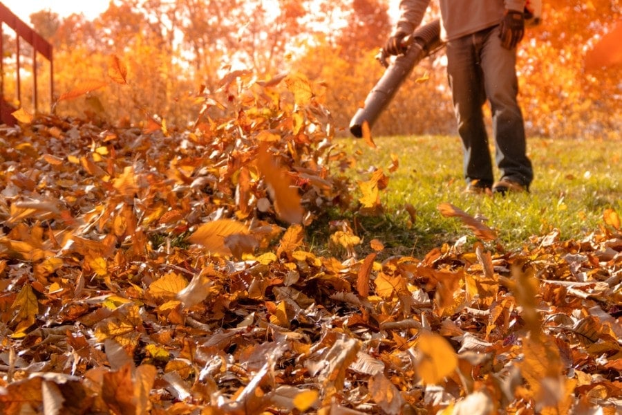 leaf blower