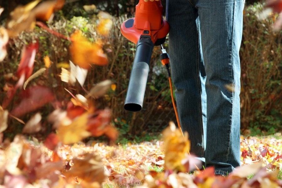 leaf blower