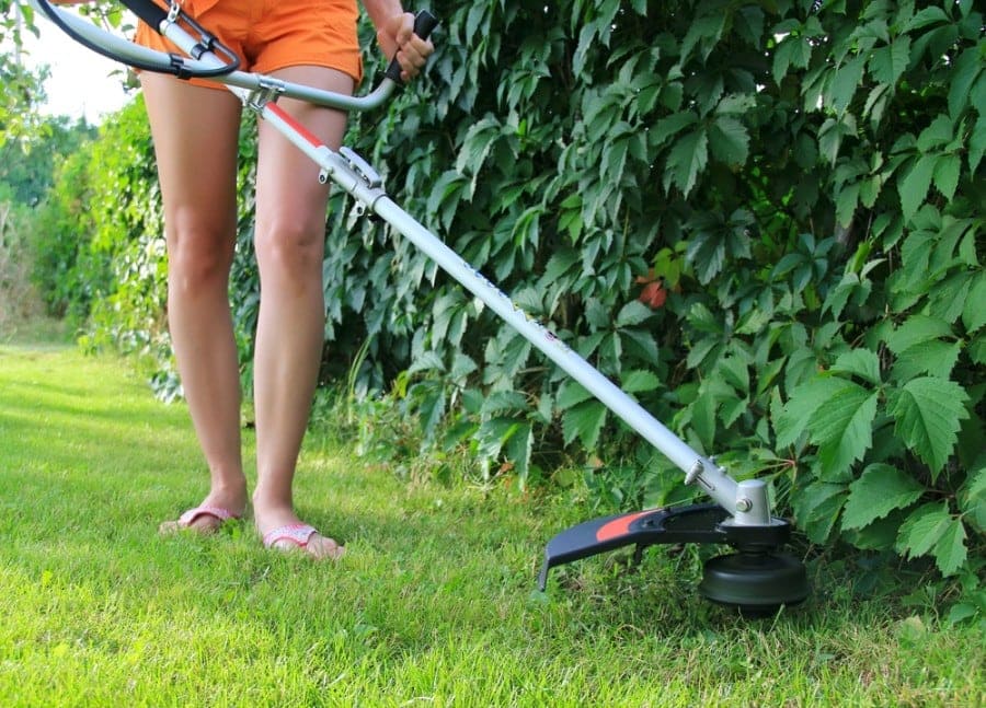 lawn edger