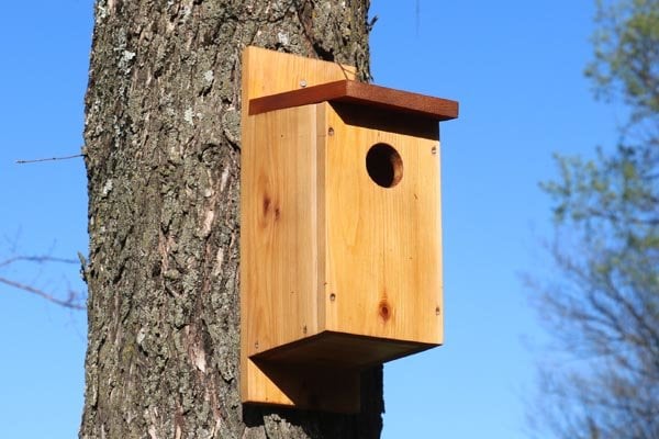 simple birdhouse plans
