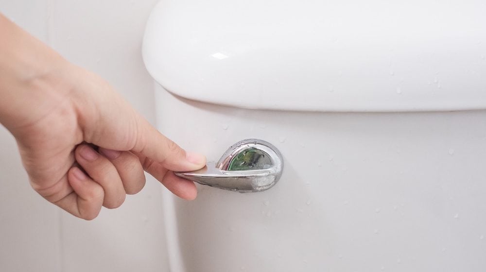 single flush toilet