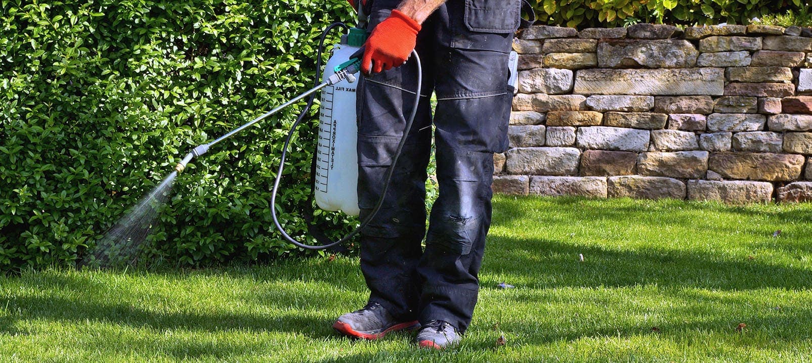 spray weed killer