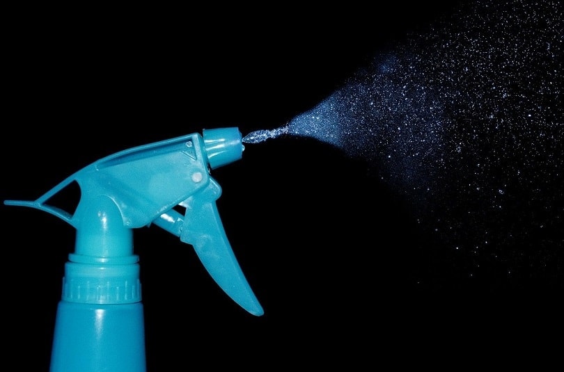 spray-wood ash-pixabay