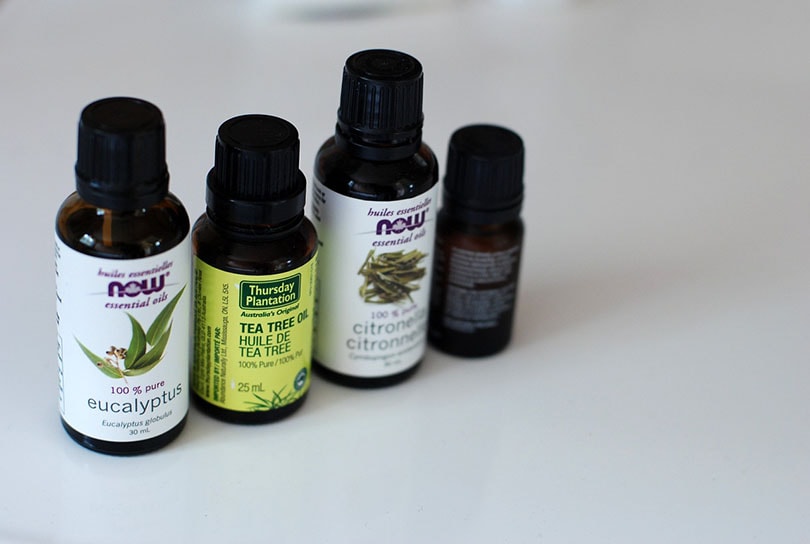 tea tree oil pixabay
