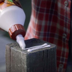 using Gorilla 6200022 Wood Glue