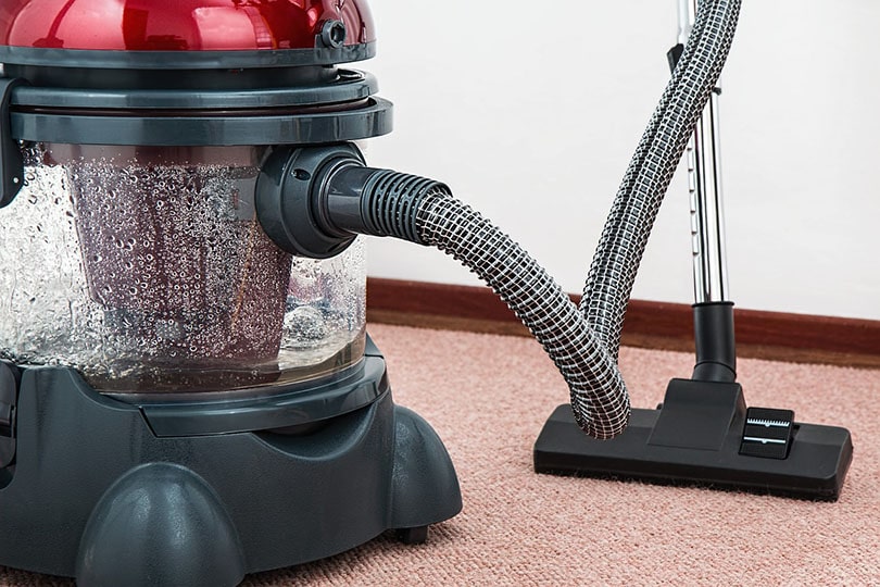vacuum-cleaner-pixabay