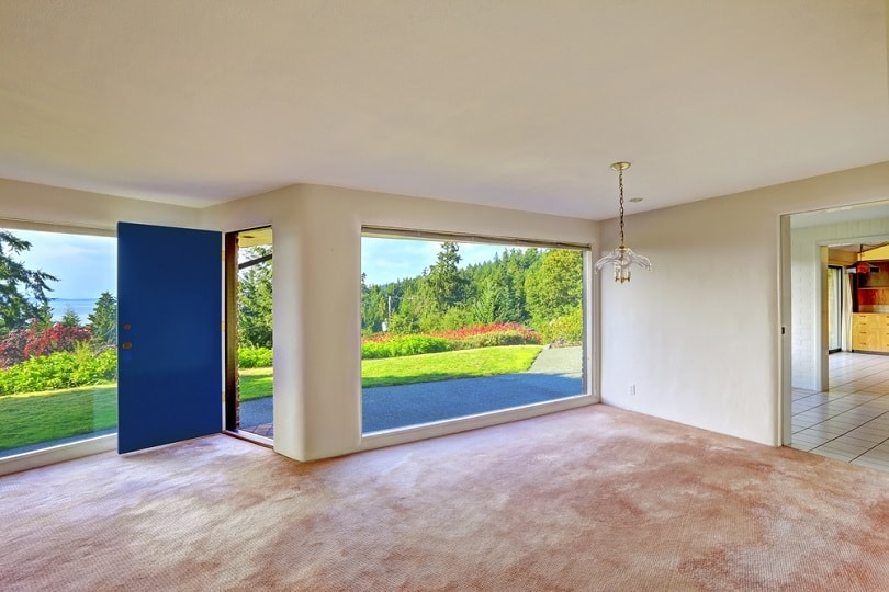 walkout basement