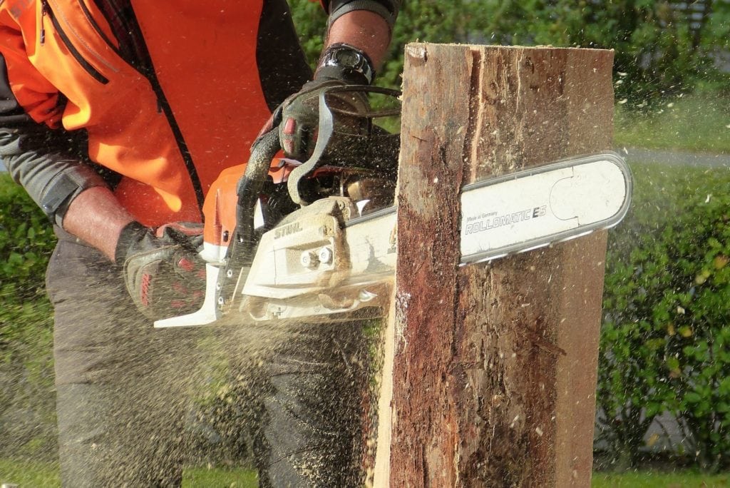 man sawing through a tree stump