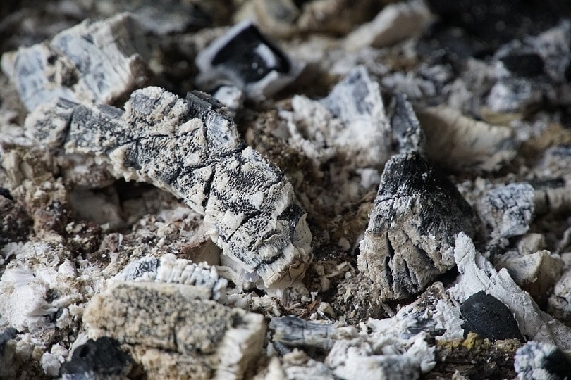 wood-ash-pixabay