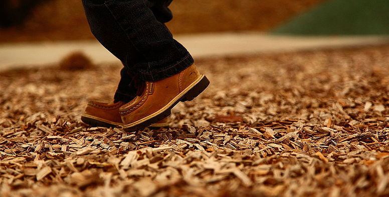 wood chip