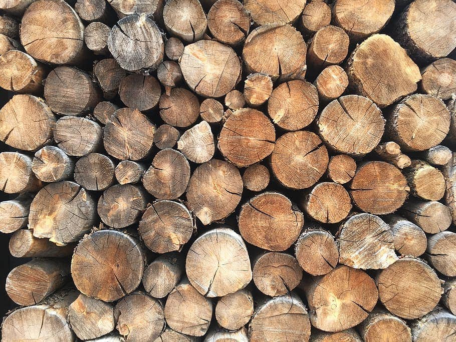 wood logs