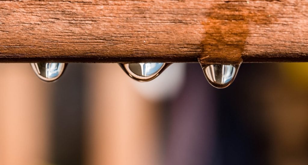 wood with water droplets