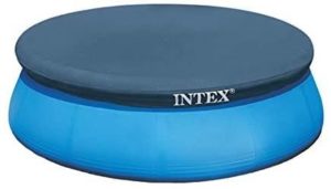 Intex