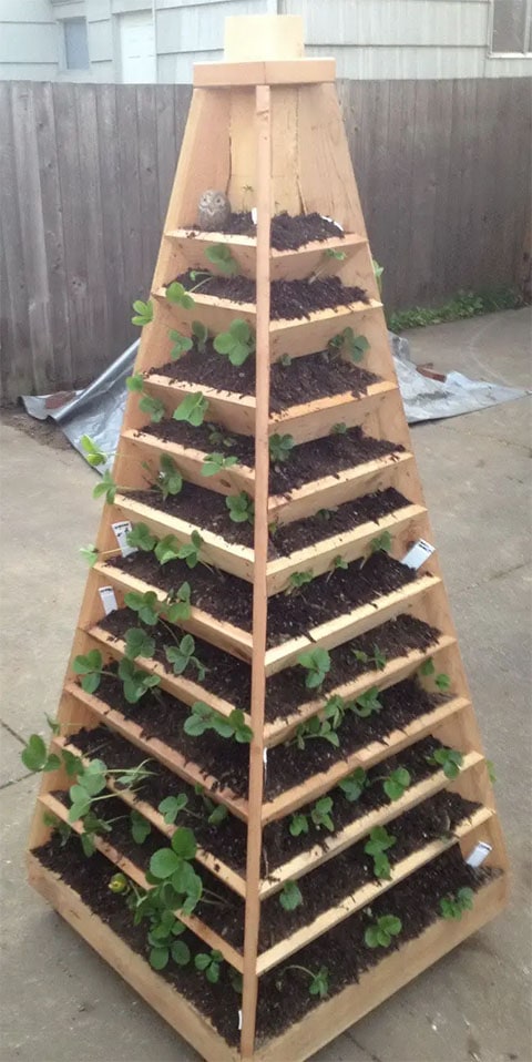 RemoveandReplace’s Vertical Garden Pyramid Tower
