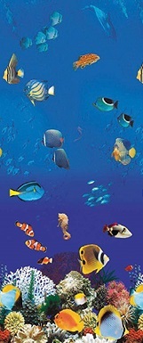 Smartline Caribbean