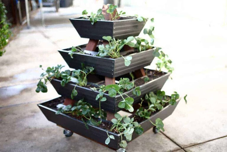 Planting Pyramid 9 DIY Pyramid Planter Plans You Can Build Today (with Pictures) | Home ...