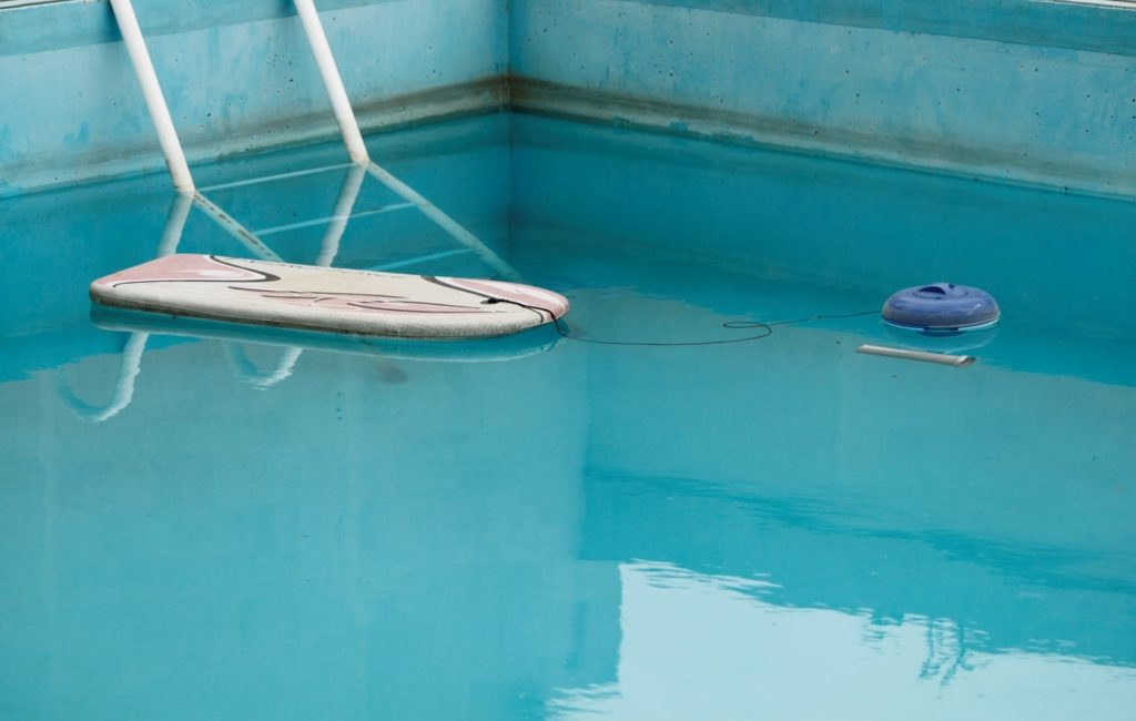 black algae in pool