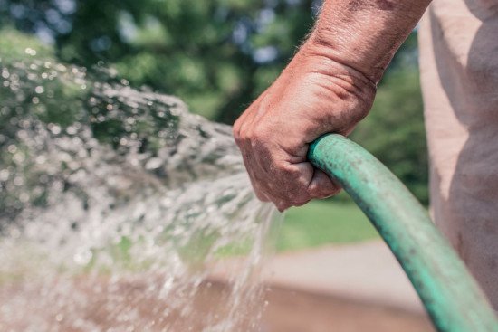 man holding garden hose