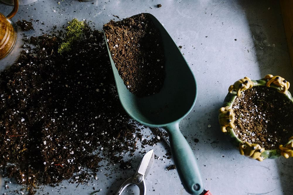 mini trowel in the gardening bench