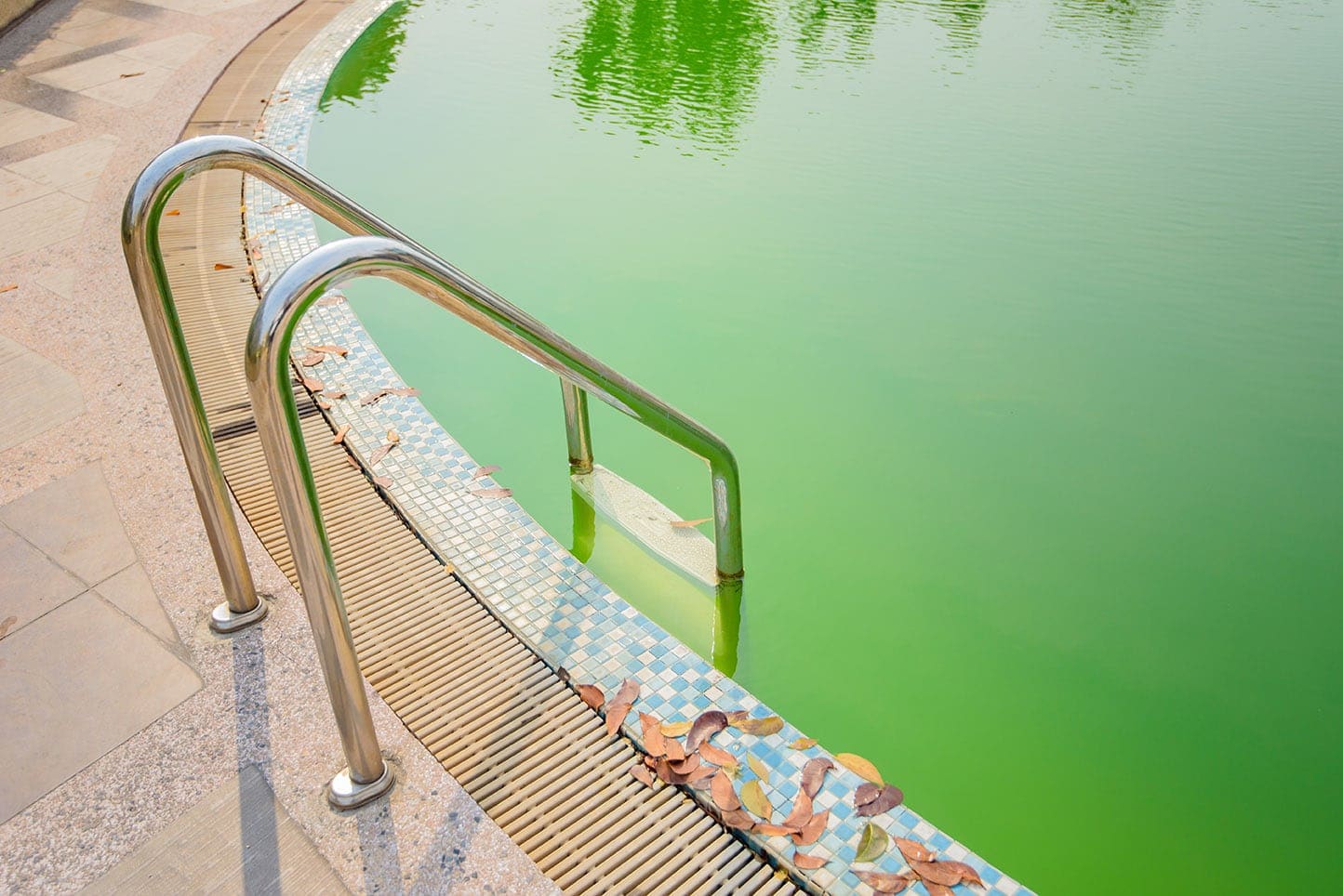 pool with algae