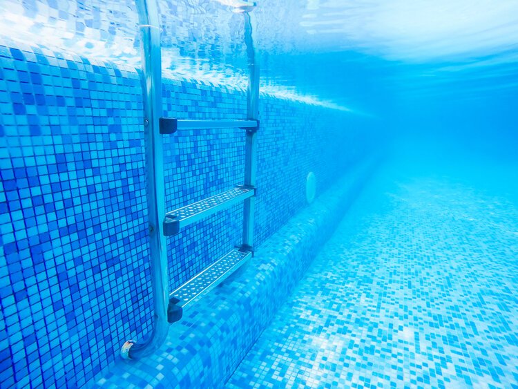 pool ladder