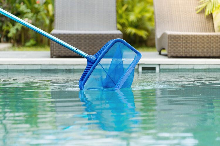 pool skimmer