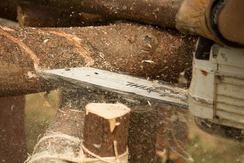 sawdust from chopped wood