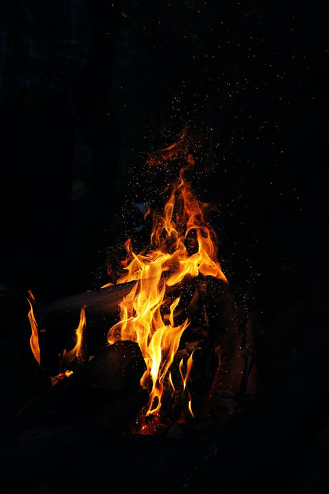 sawdust used in camp fire