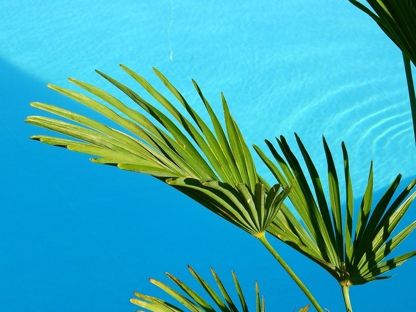 water