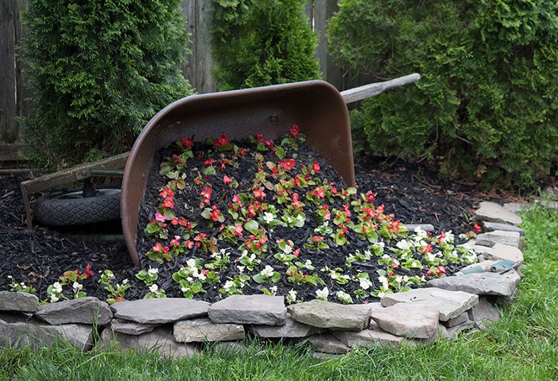 diy spilled wheelbarrow planter