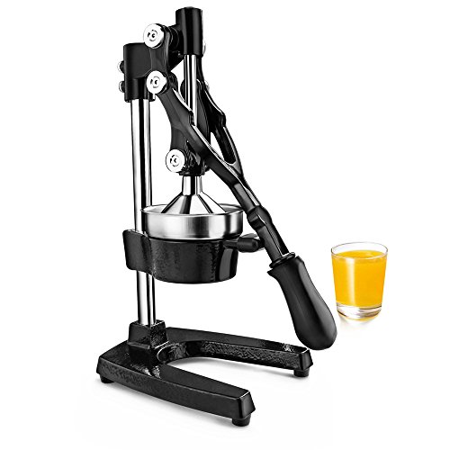 New Star Foodservice 46878