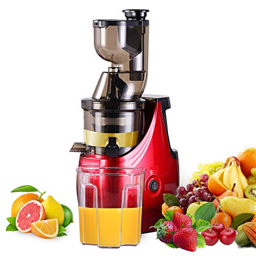 Caynel Slow Cold-Press Juice Extractor
