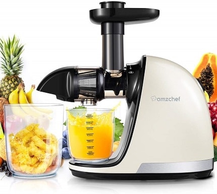 AMZCHEF Slow Masticating Juicer