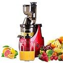 Caynel Slow Cold-Press Extractor