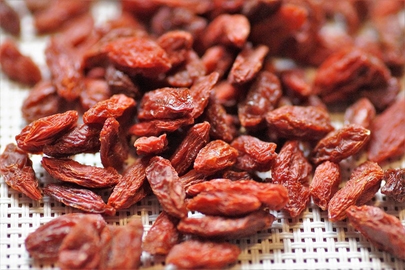 Goji Berries pixabay