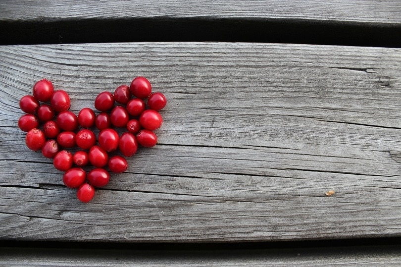 Lingonberries pixabay