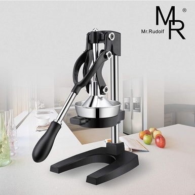 Mr Rudolf