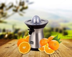 a stainless small juice extractor
